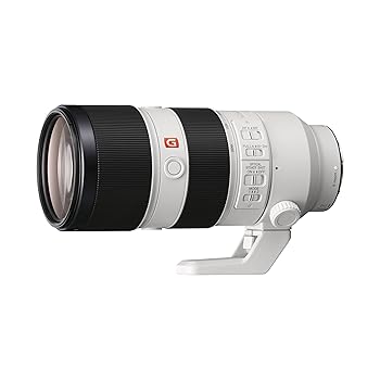 【中古】Sony FE 70-200 粍 f/2.8GM OSS | 盛りだくさんひな形、超望遠、プライム水晶体 (SEL70200GM) 白いこと