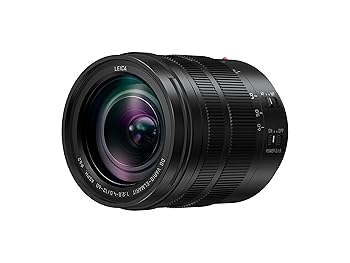 【中古】Panasonic LUMIX G Leica DG Vario Elmarit 12-60mm f/2.8-4.0 Asph.Power O.I.S. H-ES12060E - インターナショナルバージョン(保証なし)