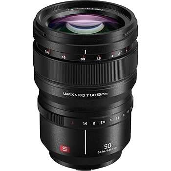 【中古】Panasonic LUMIX S PRO 50粍 F1.4 水晶体 盛りだくさん一こま Lマウント LEICA御墨付き 防塵/水飛沫/受け止める押しとどめる Panasonic LUMIX Sつづき物 鏡鑑レスカメ