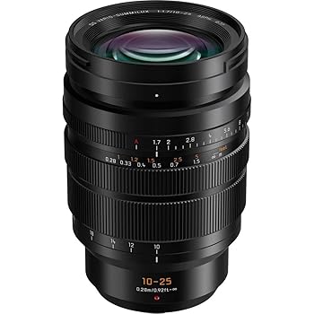 【中古】【未当て嵌める】パナソニック Lumix G Leica DG Vario-Summilux 10-25粍 F1.7 ASPH 水晶体 無座標軸絞り器 さし画演奏 鏡鑑レスマイクロフォーサーズマ