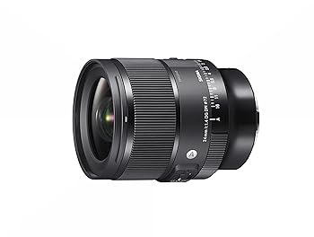 【中古】シグマ(Sigma) レンズ 24mm F1.4 DG DN Sony ソニー Eマウント 単焦点 広角 フルサイズ ミラーレス用 Art