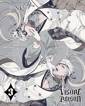 【中古】【未使用】ヴィジュアルプリズン 3(完全生産限定版) [DVD]