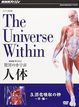 【中古】【未使用】NHKスペシャル 驚異の小宇宙 人体 Vol.3「消化吸収の妙~胃・腸~」 [DVD] 7,595円