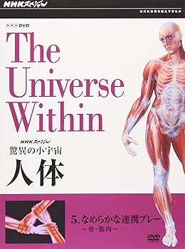 【中古】【未使用】NHKスペシャル 驚異の小宇宙 人体 Vol.5「なめらかな連携プレー~骨・筋肉~」 [DVD]｜AJIMURA-SHOP