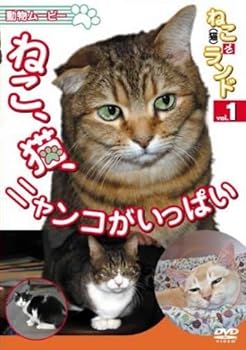【中古】【未使用】ねこ(猫)ざランド Vol.1 ねこ、猫、ニャンコがいっぱい [DVD]