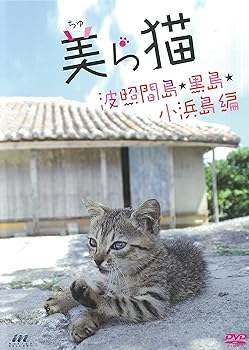 【中古】【未使用】美ら猫(ちゅら猫)竹富島編 [DVD]