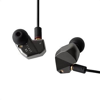【中古】final カナル型 有線 イヤホン B2 【FI-B2BSSD】 バランスドアーマチュア型 Bシリーズ