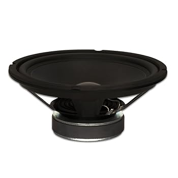 【中古】Goldwood Sound GW-1038 ラバーサラウンド10インチ ウーファー 250ワット 8オーム 交換用スピーカー