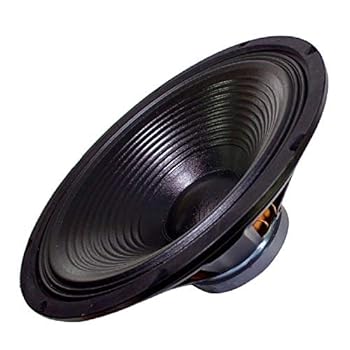 【中古】【未使用】Technical Pro wf18 18 Rawサブウーハーブラック