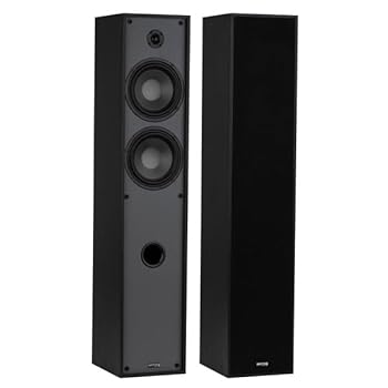 【中古】【未当て嵌める】デイトンオーディオクラシックT65フロアスタンディングタワースピーカーペア(黒いこと)