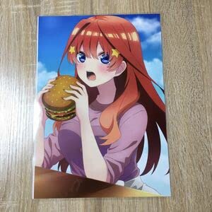 【中古】五等分の花嫁 5 ラミネート A4 サイズ Dはと画像