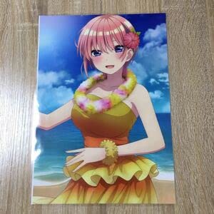 【中古】五等分の花嫁 2 ラミネート A4 サイズ Dはと画像