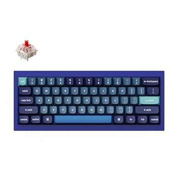 【中古】Keychron Q4 有線カスタムメカニカルキーボード 60%レイアウト QMK/VIA プログラム可能なマクロ ホットスワップ可能 Gateron G Pro Red Switch|AJIMURA-SHOP