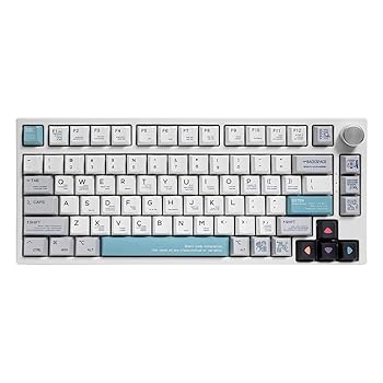 【中古】【未使用】GK GAMAKAY 113キー 透明 PCキーキャップセット 2.75シフト、ASAプロファイルキーキャップ SN75用 98% 75%レイアウト MX Gateron Kailh Switch