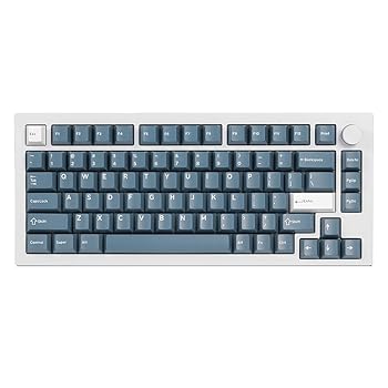 【中古】【未当て嵌める】DROP DCX Permafrost 手当たり旗がしら書き割り ダブル打つこと ABS Cherry MX表現スタイル鍵盤 60% 65% 75% TKL WKL フルサイズ 1800レイアウトなど