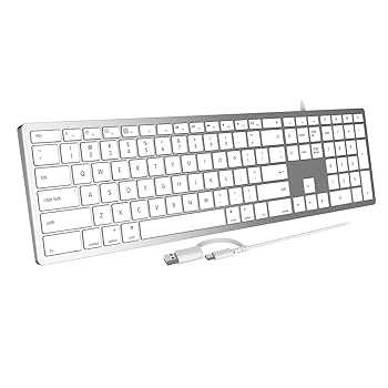 【中古】【未使用】Acebaff 有線キーボード Mac対応 Appleキーボード フルサイズ マルチメディアショートカットキー20個 USB A/USB C Apple Mac Pro/Mini/MacBook P