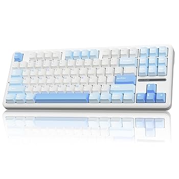 【中古】AULA F87 ワイヤレス メカニカル キーボード 75% TKL カスタム ホットスワップ可能 ゲーミングキーボード PBTキーキャップ付き 潤滑済みグレーウ|AJIMURA-SHOP