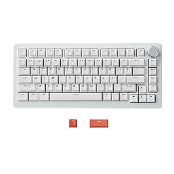 【中古】DrunkDeer A75 Pro ラピッドトリガーキーボード eスポーツゲーミングキーボード 磁気取り替えっこ - ラストウィンモード - 自然調整能力のあるな稼動 ANSI 75%
