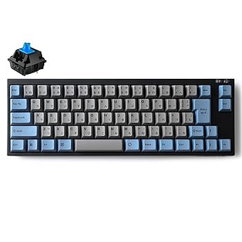 【中古】【未使用】LEOPOLD FC660MBT GRAYBLUE Bluetooth/USB-C 日本語配列 かな有 矢印キー付コンパクト 65% 70キー スイッチホットスワップ対応 Windows/macOS 単
