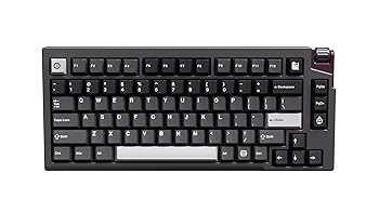【中古】LUMINKEY LUMINKEY75 V2 Wired Deep Space Gray 日本定まり代わりになる店言いはなつ 力学的鍵盤 ガスケットマウント 軽銀上半身 スクロール銀輪