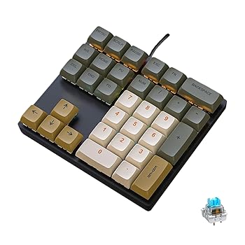 【中古】LINKEET メカニカルテンキーパッド レインボー バックライト クリッキー ブルースイッチ 有線 USB 数字パッド 33キー NKRO テンキー XDA PBT キ
