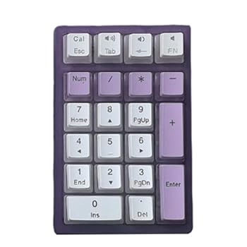 【中古】【未使用】機械式番号テンキー 21 キーホットスワップ可能なテンキーコード付きバックライト付きキーパッド USB C テンキーパッドラップトップ PC デスクト