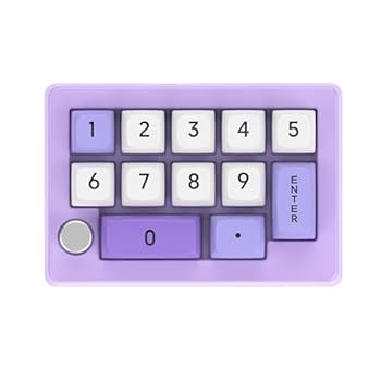 【中古】【未当て嵌める】テンキーゲーム盤 有線 ゲーミングメカニカルキーボード RGB相応う マルチ流行り物 熱っぽいつけ替える軸 マクロ命令プログラム能力のある テンキー＆Type-C繋ぎ合わせる