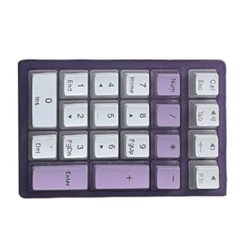 【中古】テンキー、力学的USB C吊りひも付き添い人テンキー、LEDうしろ側ともし火付き添い人21手がかりテンキー、一回りとっ始め、学習机とっ始め、電子計算機マイコン用