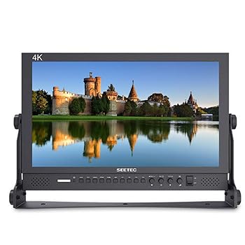 【中古】【未当て嵌める】SEETEC P173-9HSD 17.3in 事務机いの一番 言いひろめる舞台監督仕立て上げる液晶管する 3GSDI HDMI YPbPr入出力 軽銀青写真 IPSスクリーンフル