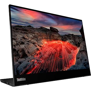 【中古】【未当て嵌める】ThinkVision M14t Gen2 14in管する。