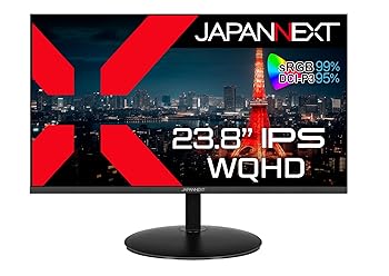【中古】JAPANNEXT 23.8in 管する WQHD 2560x1440解像力 IPS 見せびらかす (HDMI/DisplayPort/VESA相応う/ブルーライトカット) JN-IPS2380FLWQHD-N