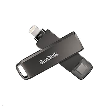 【中古】SanDisk TYPE-C SDIX70N-256G-GN6NE Lightnig Flash
