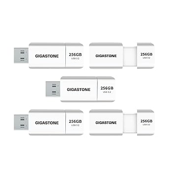 【中古】【GIGASTONE】USBメモリ 256GB 5個セット Z60 USB 3.2 Gen 1 フラッシュドライブ 120/60 MB/s超高速ペンドライブ キャップレス伸縮式デザイン US｜AJIMURA-SHOP