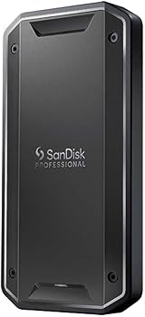 【中古】【未当て嵌める】サンディスクプロフェッショナル 外後ばらい 携帯型SSD 4結核症 PRO-G40 SSD exFAT初期化 Thunderbolt 3/USB-C両相応う 防塵 雨合羽 耐衝撃 5年保 その他-パソコン・周辺機器