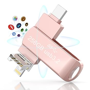 【中古】【未当て嵌める】【2024新心積もり】4 インチ1 USB記憶装置 256GB【USB｜Type-C｜Lightning｜Micro USB繋ぎ合わせる界面相応う】 4はたご屋1 Phone usb記憶装置 印字機c 記憶装置容