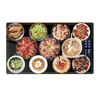【中古】食品保温トレイ、ポータブルビュッフェサーバートレイウォーマープレート、温度調節機能付き、ビュッフェ、パーティー、イベント、ホームディナ