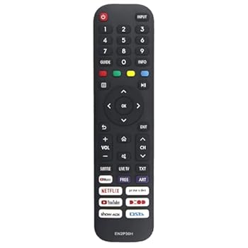 【中古】【未使用】EN2P30H 交換用リモコン Hisense Smart TV 50H6G 50H77G 50V6G 50A60G 50A60H 50A60GMV 50A6010GMV 50A6030GMV 50A6050GMV 50A6070GMV 50A6090GM