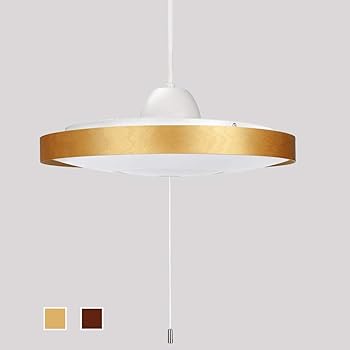 【中古】【未当て嵌める】DINGLILED ledシャンデリヤともし火 吊り下げともし火 4畳 6畳 30W 和風 和室 昼光色 3座標軸調光 常夜灯 木枠 薄型 軽さ プルスイッチ 吊りひも付き添い人 LED白熱電球