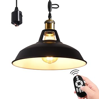 【中古】LVWIT ペンダントライト ダクトレール式 E26口金 直径31CM 北欧風 LED電球付き 調光調色 エジソン電球 消費電力6W 遠隔操作 コード付き 60cm調節