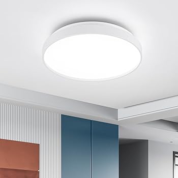 【中古】【未当て嵌める】Loiogohot 最高限度ともし火 LED 10畳 照明装置 上昇限度 オシャレ 24W 昼光色 昼白いこと 白熱電球色 リビング照明装置 リビング御部屋 臥し所 書室 執務室 子供部屋