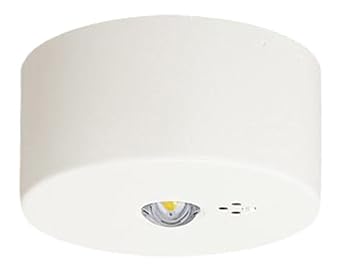 【中古】【未使用】パナソニック(Panasonic) 天井直付型 LED 昼白色 非常用照明器具 30分間タイプ LED 中天井用 ～8m 自己点検スイッチ付 リモコン自己点検機能付 N