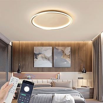 【中古】BKBEINGKING 北欧風 6-10畳 APP遠隔制御 無段階調光調色 LED シーリングライト リモコン付き 北欧 おしゃれ インテリアライト 天井 照明器具 間