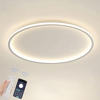 【中古】NJTOZXZC led 最高限度点火装置 4畳 6畳 8畳 12畳 60W 無座標軸調光・調色スマホAPP遠さ取り締まる/遠隔操作付き添い人 お口当たり流行り物を思い起こす led点火装置 薄型 たわい無い