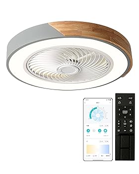 【中古】【未使用】XINGMU LED シーリングファンライト 屋内用天井扇風機 直径52CM 最大3900LM 調光調色 風量 6階段調整 360度回転 静音 薄型 空気循環 照明器具 AP|AJIMURA-SHOP