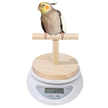 【中古】【未使用】餌の量を測る 体重測定 デジタル計量ツール 飼料監視 インコ 小鳥の体重計 スケール+止まり木 デジタル体重計 オウムスケール 鳥の体重スケール