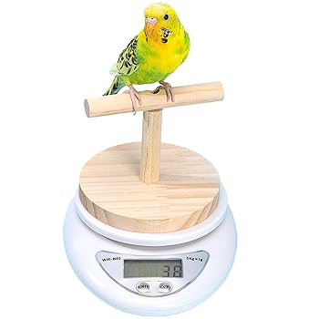 【中古】【未使用】小鳥 スケール ペットスケール バードスケール 鳥スケール 体重計 重量計 鳥用スケール 小動物用スケール 止まり木付き 文鳥 オカメインコ セキ