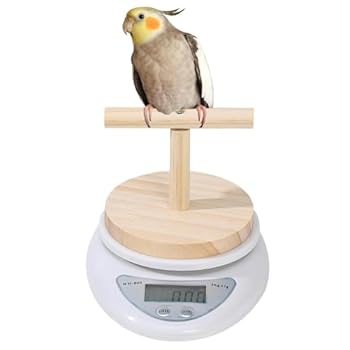 【中古】【未使用】鳥のスケールミニペットスケール デジタル鳥のスケール 鳥の体重スケール オウムトレーニングペットバードスケール インコ 小鳥の体重計 デジタ