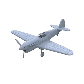 【中古】【未使用】MRY-SFW LYR144237 1/144ミリタリーモデルアメリカP-40 F-10ウォーホーク戦闘機
