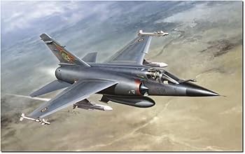 【中古】【未使用】プラッツ イタレリ 1/48 ダッソー・ミラージュF1 プラモデル IT2839 (飛行機)