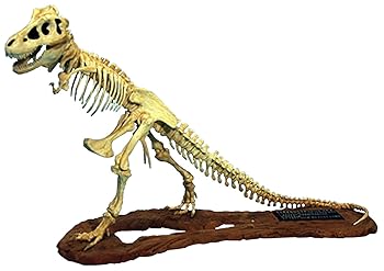 【中古】【未使用】グレンコモデル(GLEMCOE MODELS) 1/24 ティラノサウルス 骨格モデル プラモデル GM07906 成型色